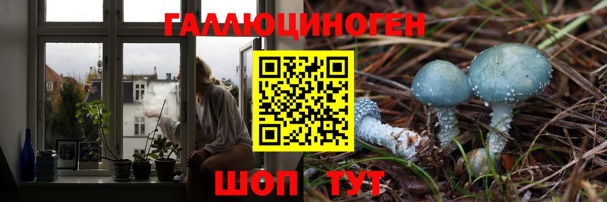 Добрянка  Галлюциногенные грибы Psilocybe  Псилоцибиновые грибы мухоморы  Вход с VPN 